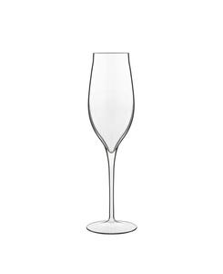 Набор из 2 бокалов для просекко Vinea объемом 6,75 унций Luigi Bormioli, прозрачный