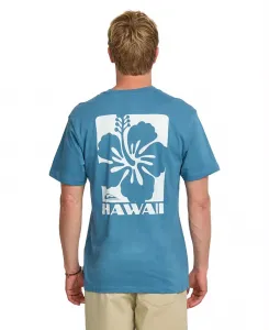 Мужская футболка с коротким рукавом Hawaii Hibiscus Quiksilver, оранжевый