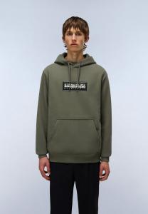 Толстовка Napapijri BOX LOGO, Tea Leaf Ga/Light Green