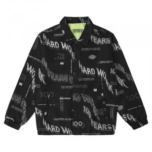 Куртка мужская Dickies, устрично-серый