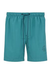 ЭВАНДЕР плавки-шорты JAN VANDERSTORM, зеленый