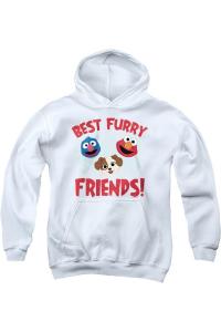 Sesame Street Furry Friends Forever Лучшие пушистые друзья Детская толстовка с капюшоном Gildan, белый