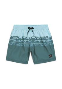 Пляжные шорты CALI STRIPE O'Neill, синий