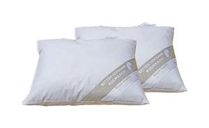 В упаковке 2 пуховые подушки, маленькие подушки, мягкие подушки, диванные подушки, декоративные подушки, 35х40, 200г Betten Hofmann