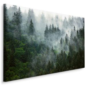 Картина на холсте Muralo Wald im Nebel Landschaft 3D, 90x60x60 см цвет schwarz/grau/grün