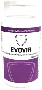 Эвовир 6Cpr Bioevolutionpharma