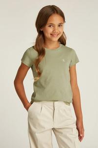 Хлопковая футболка детская 2 шт Calvin Klein Jeans, зеленый