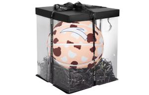 Баскетбольный мяч ANTA