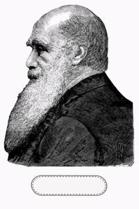 Darwin Evolution Notebook (Independently published)