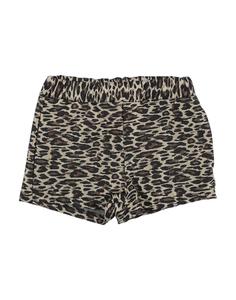 Шорты Giro Quadro, песочный