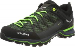 Мужские кроссовки Salewa MS MTN Trainer Lite GTX