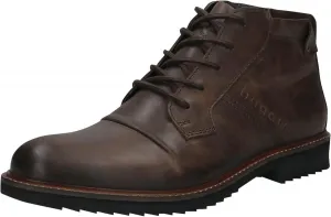 Мужские современные ботинки Bugatti с утепленной подкладкой, коричневый