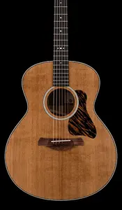 Taylor-guitars Gold Label 514e - Натуральный #55014