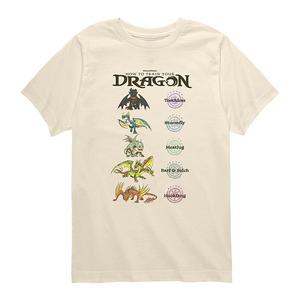 Футболка с принтом How to Train Your Dragon для мальчиков 8-20 Licensed Character, Cream