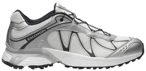 Кроссовки Salomon XT-Whisper 'Silver Dark Navy', серебряный