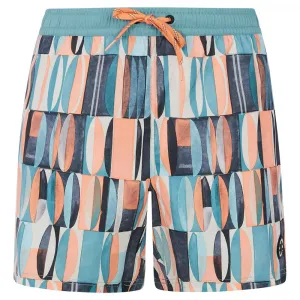Шорты для плавания Protest Allen, разноцветный
