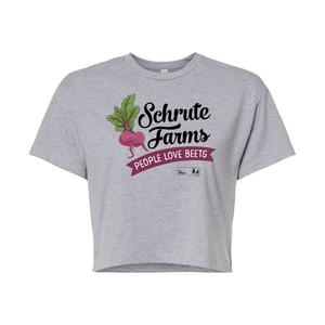 Укороченная футболка The Office Schrute Farms для юниоров Licensed Character, серый