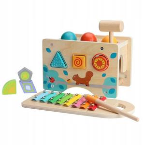Деревянный развивающий набор Madej с тарелками 46481 Inna marka