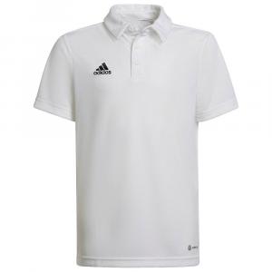 Поло с коротким рукавом adidas Entrada 22, белый