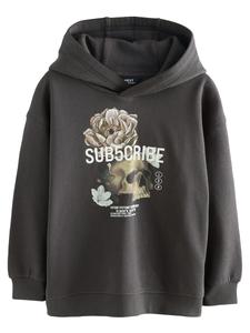 Толстовка Next Subscribe, серо-коричневый/антрацит