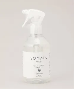 Сомалийский уборщик туалетов