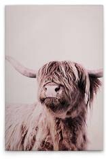 Картина на холсте A.S. Création Highland Cattle 1 цвет cremebeige