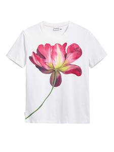 Рубашка Desigual, белый