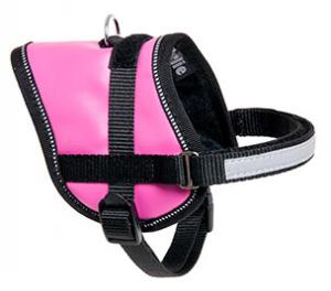 Ремень Flamingo Teeny Weeny Розовый л Flamingo, цвет розовый