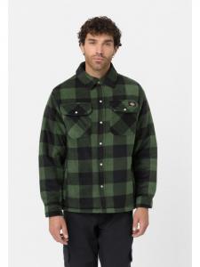 Демисезонная куртка Dickies, зеленый
