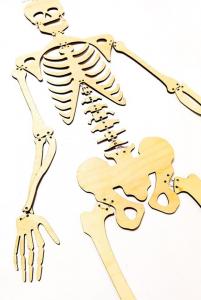 Скелет человека, для подвешивания, кости, самостоятельная сборка Inna marka