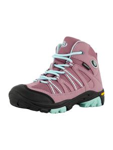 Ботинки для походов и альпинизма фиолетового цвета Brütting