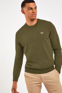 Джемпер из 100% хлопкового трикотажа с круглым вырезом Lacoste, зеленый