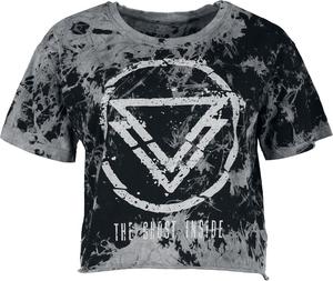 Футболка The Ghost Inside Distorted, серый