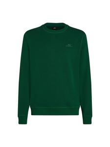 Толстовка O'NEILL, Fir