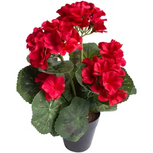 Искусственный цветок Botanic-Haus «Куст герани с 6 цветочными головками», красный