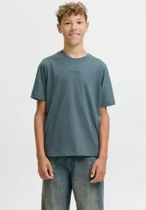 Футболка с принтом gedruckt Jack & Jones Junior, Stormy Weather