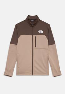 Толстовка The North Face TEEN HIKE MIDLAYER UNISEX, Mushroom Grey/Smokey Brown/Light Brown