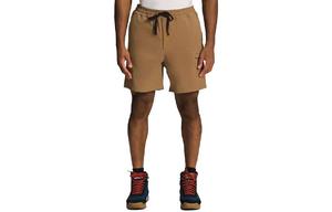 THE NORTH FACE Повседневные шорты SS23 Men's Brown