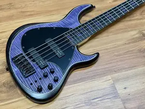 Meridian J24-5 - Тигровый клен фиолетовый