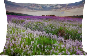 Подушка для улицы - Лаванда - Цветы - Закат - Фиолетовый - Луг - 50 x 30 см - Водонепроницаемая - Подушка для отдыха - Подушка для дивана - Украшение для гостиной MuchoWow