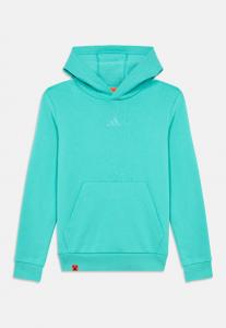 Худи Adidas Terrex MINECRAFT HOODIE UNISEX, Semi Mint Rush/Mint