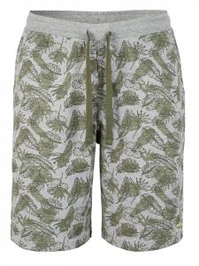 Тканевые шорты Roadsign