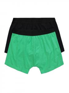 Трусы JP1880, цвет maigrün