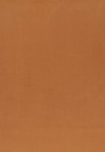 СДЕЛАНО В ГЕРМАНИИ Cashmink FRAAS, Шарф светло-коричневый