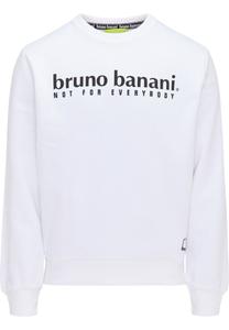 Толстовка Bruno Banani King, White