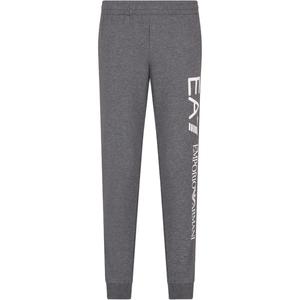 EA7 Вязаные спортивные штаны мужские EMPORIO ARMANI, серый