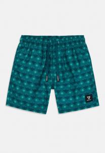 Пляжные шорты CESTERY BOYS Brunotti, зеленый