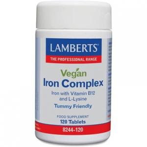 Lamberts Healthcare Ltd. Веганский комплекс железа с витамином B12 и L-лизином, 120 таблеток