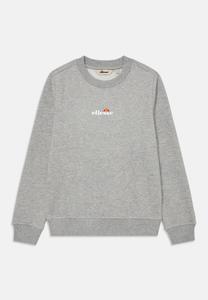 Толстовка Ellesse FAIRROS UNISEX, Light Grey/Mottled Light Grey