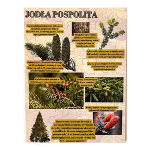 Серебряная ель, деревянная головоломка, лесное образование Inna marka